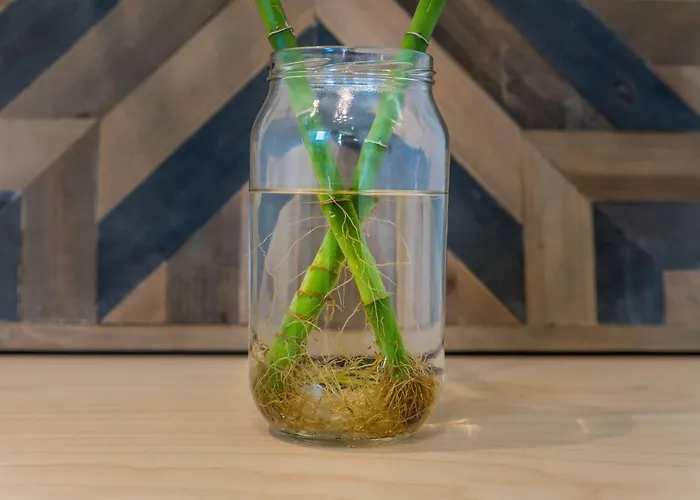 Casa Filakopi * Páhena